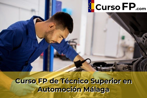 Curso FP de Técnico Superior en Automoción en la provincia de Cantabria 100 Curso FP de Técnico Superior en Automoción en la provincia de Málaga