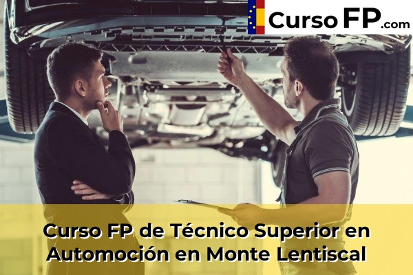 Curso FP de Técnico Superior en Automoción en Santa Brígida 50 Curso FP de Técnico Superior en Automoción en Monte Lentiscal