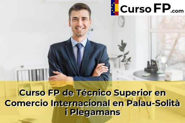 Curso FP de Técnico Superior en Comercio Internacional en Palau-Solità i Plegamans