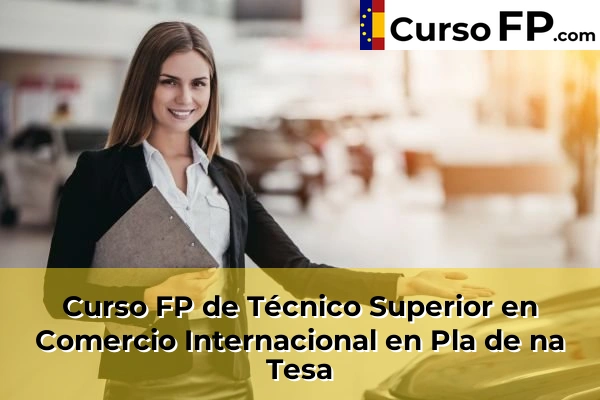 Curso FP de Técnico Superior en Comercio Internacional en Pla de na Tesa