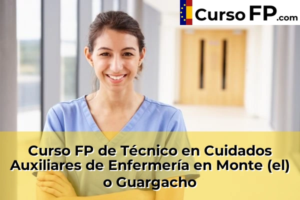 Curso FP de Técnico en Cuidados Auxiliares de Enfermería en Monte (el) o Guargacho