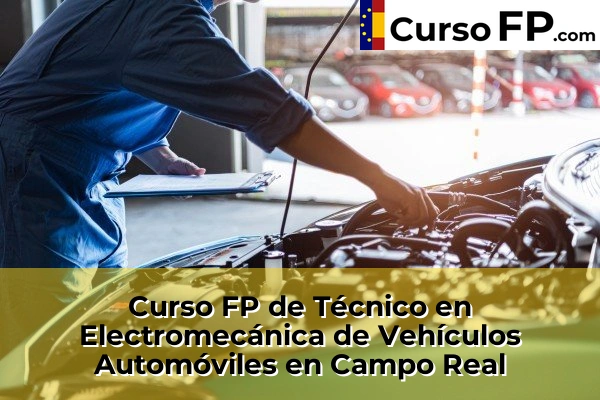 Curso FP de Técnico en Electromecánica de Vehículos Automóviles en San Sebastián de los Reyes 45 Curso FP de Técnico en Electromecánica de Vehículos Automóviles en Campo Real