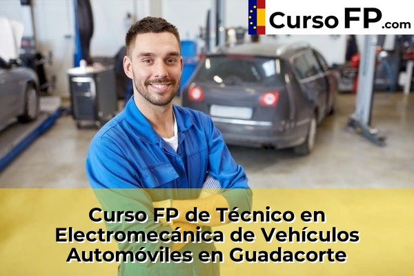 Curso FP de Técnico en Electromecánica de Vehículos Automóviles en la provincia de Cádiz 16 Curso FP de Técnico en Electromecánica de Vehículos Automóviles en Guadacorte