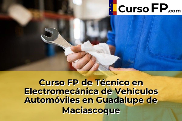 Curso FP de Técnico en Electromecánica de Vehículos Automóviles en Yecla 64 Curso FP de Técnico en Electromecánica de Vehículos Automóviles en Guadalupe de Maciascoque