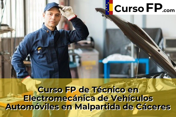 Curso FP de Técnico en Electromecánica de Vehículos Automóviles en la provincia de Cáceres 8 Curso FP de Técnico en Electromecánica de Vehículos Automóviles en Malpartida de Cáceres