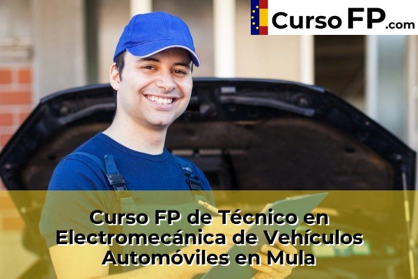 Curso FP de Técnico en Electromecánica de Vehículos Automóviles en Yecla 84 Curso FP de Técnico en Electromecánica de Vehículos Automóviles en Mula
