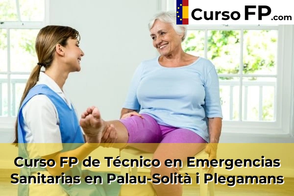 Curso FP de Técnico en Emergencias Sanitarias en la provincia de Barcelona 75 Curso FP de Técnico en Emergencias Sanitarias en Palau-Solità i Plegamans