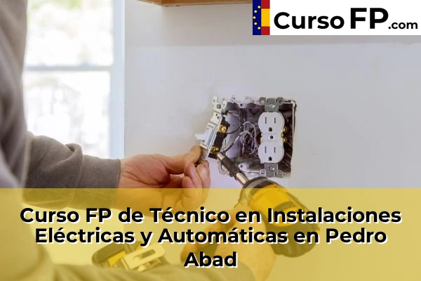 Curso FP de Técnico en Instalaciones Eléctricas y Automáticas en Pedro Abad