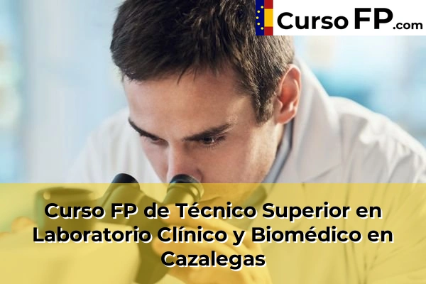 Curso FP de Técnico Superior en Laboratorio Clínico y Biomédico en la provincia de Toledo 8 Curso FP de Técnico Superior en Laboratorio Clínico y Biomédico en Cazalegas