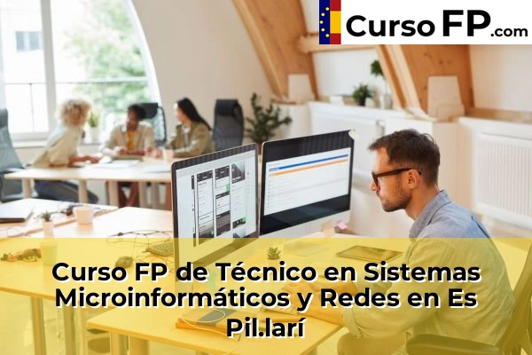 Curso FP de Técnico en Sistemas Microinformáticos y Redes en Es Pil.larí