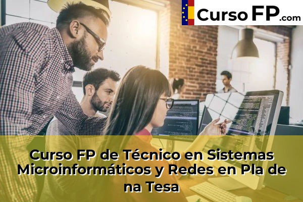Curso FP de Técnico en Sistemas Microinformáticos y Redes en Pla de na Tesa