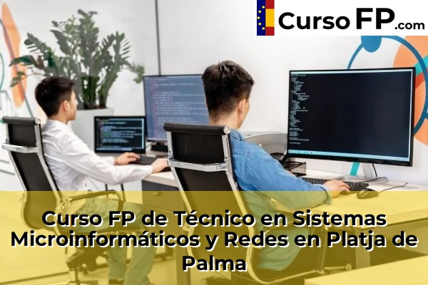 Curso FP de Técnico en Sistemas Microinformáticos y Redes en Platja de Palma