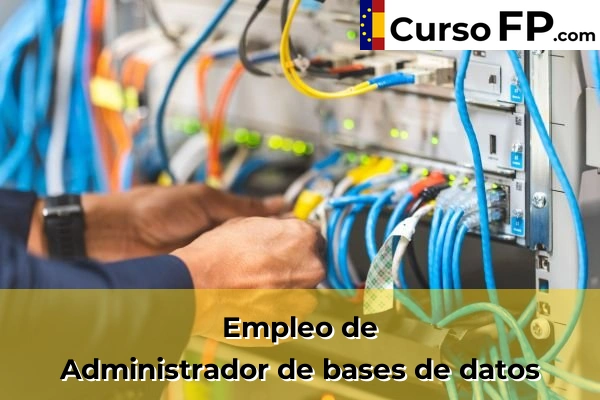 Administrador de bases de datos