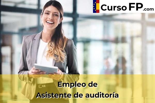 Administración y Finanzas 2 Asistente de auditoría