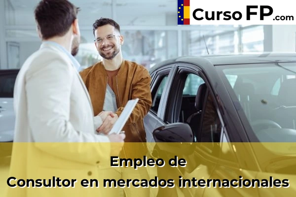 Consultor en mercados internacionales