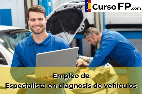 Especialista en diagnosis de vehículos